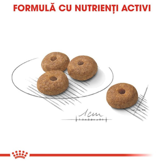 Royal Canin Mini Sterilised Adult – Hrană Uscată pentru Câini Adulți Sterilizați de Talie Mică – 1 kg